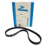 Correia elastica - day