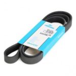 Correia Poli V Ford Fiesta/courier S/ - day