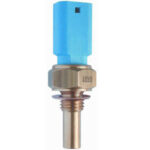 Plug eletronico Palio- Stra