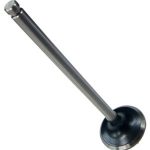 Valvula de escape Std Motor