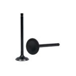 Valvula de escape (std) (motor)