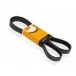 Correia Multi V - 4pk 725