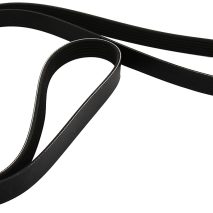 CORREIA POLY V - DAY